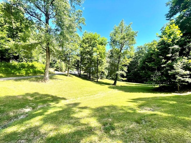 159 Driftwood Dr, Eddyville, KY 42038 - photo 36