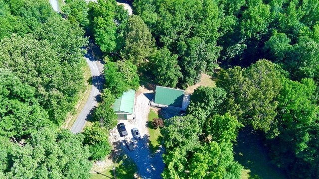 159 Driftwood Dr, Eddyville, KY 42038 - photo 50