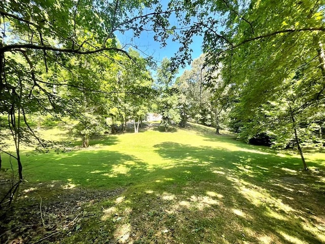 159 Driftwood Dr, Eddyville, KY 42038 - photo 40