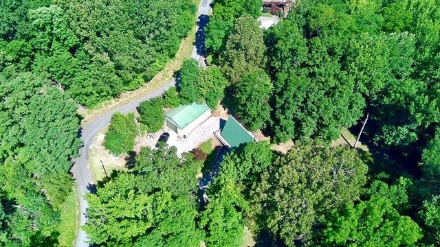 159 Driftwood Dr, Eddyville, KY 42038 - photo 46