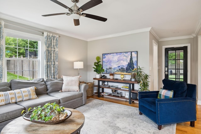 303 Avondale Dr, Franklin, TN 37064 - living area with wood finished floors, a ceiling fan, and ornamental molding