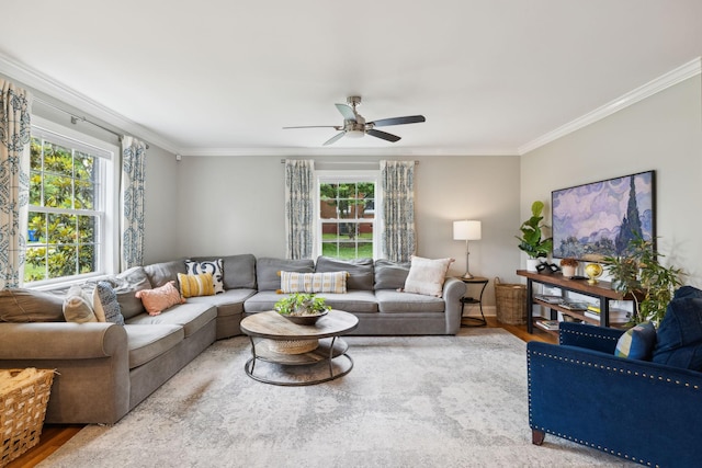 303 Avondale Dr, Franklin, TN 37064 - living room featuring crown molding, wood finished floors, and ceiling fan