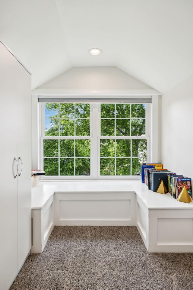 303 Avondale Dr, Franklin, TN 37064 - interior space with vaulted ceiling and carpet floors