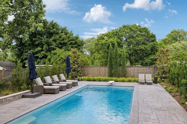 303 Avondale Dr, Franklin, TN 37064 - view of swimming pool with a patio area, a fenced backyard, and a diving board