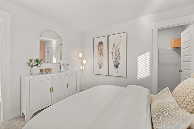 7218 Hanworth St, Fairview, TN 37062 - bedroom featuring carpet floors and a walk in closet
