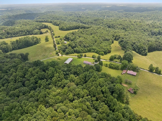 259 Freewill Ridge Rd, Gainesboro, TN 38562 - photo 50