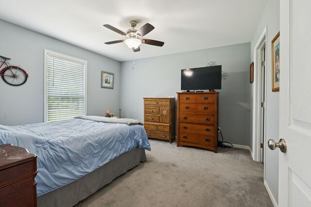 259 Freewill Ridge Rd, Gainesboro, TN 38562 - photo 21
