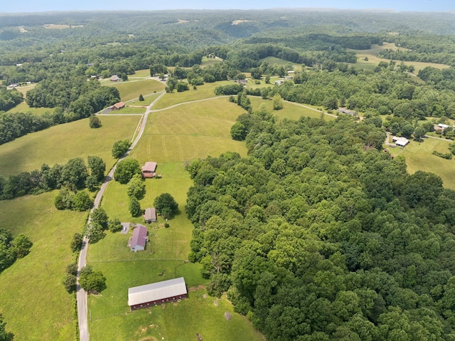 259 Freewill Ridge Rd, Gainesboro, TN 38562 - photo 47