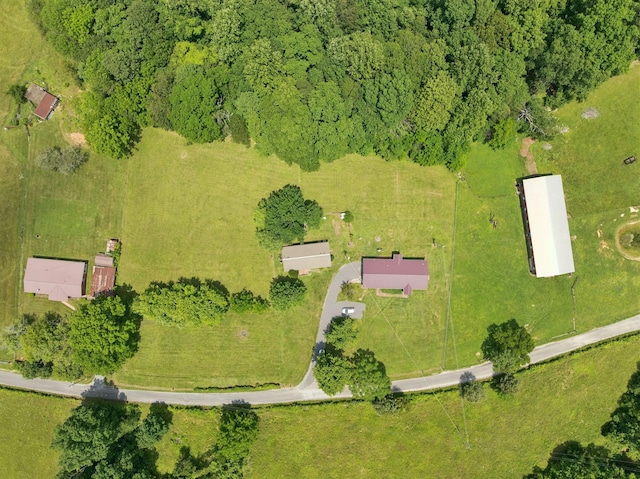 259 Freewill Ridge Rd, Gainesboro, TN 38562 - photo 51