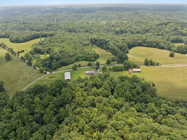 259 Freewill Ridge Rd, Gainesboro, TN 38562 - photo 49