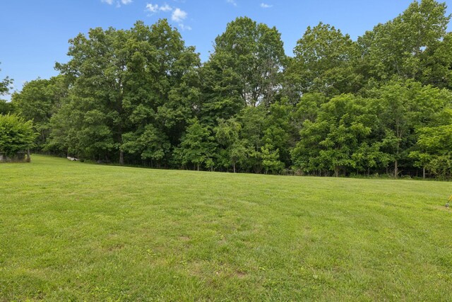 259 Freewill Ridge Rd, Gainesboro, TN 38562 - photo 42