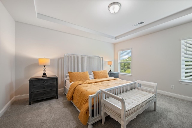 2505 Prairie Hill Dr, Antioch, TN 37013 - photo 19