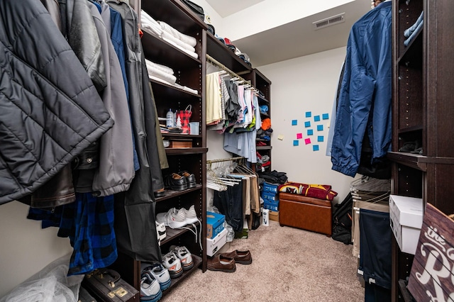 2743 Crowne Pointe Dr, Murfreesboro, TN 37130 - spacious closet with carpet floors