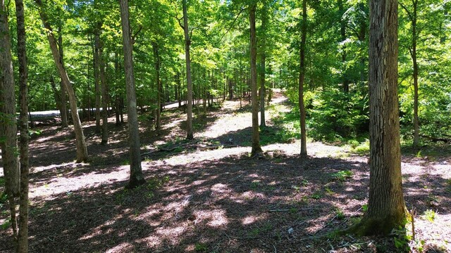 8121 Lick Creek Rd, Big Sandy, TN 38221 - photo 11