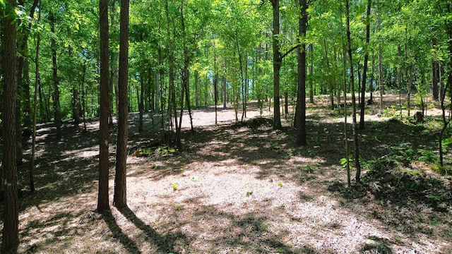 8121 Lick Creek Rd, Big Sandy, TN 38221 - photo 3