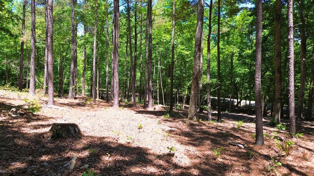 8121 Lick Creek Rd, Big Sandy, TN 38221 - photo 9