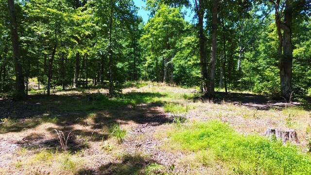 8121 Lick Creek Rd, Big Sandy, TN 38221 - photo 6
