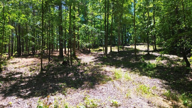 8121 Lick Creek Rd, Big Sandy, TN 38221 - photo 7