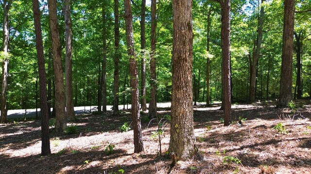 8121 Lick Creek Rd, Big Sandy, TN 38221 - photo 8