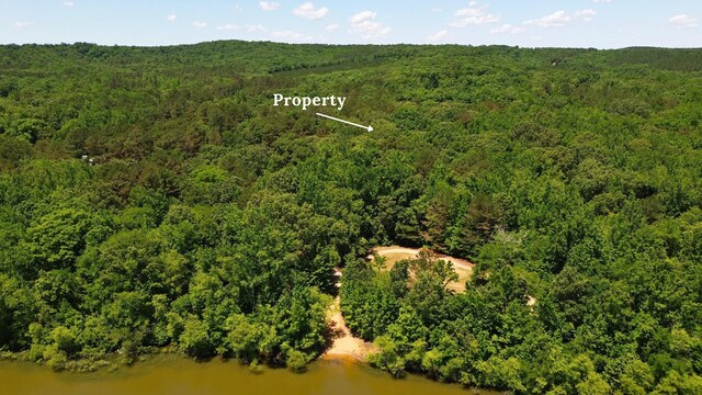 8121 Lick Creek Rd, Big Sandy, TN 38221 - photo 15