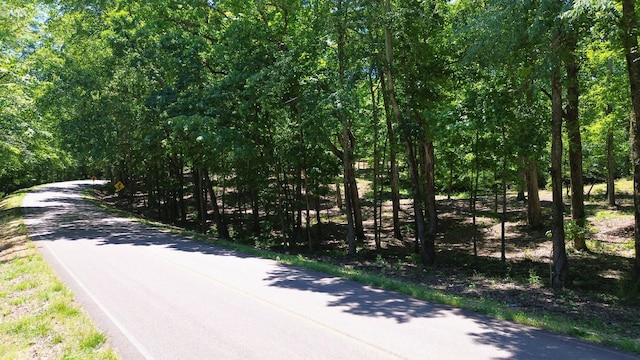 8121 Lick Creek Rd, Big Sandy, TN 38221 - photo 4