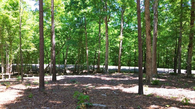 8121 Lick Creek Rd, Big Sandy, TN 38221 - photo 10