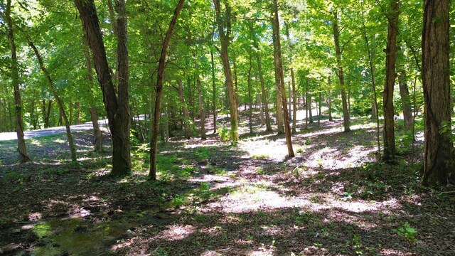 8121 Lick Creek Rd, Big Sandy, TN 38221 - photo 12