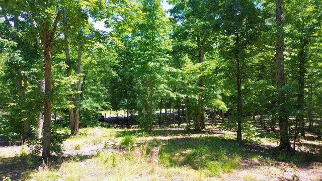 8121 Lick Creek Rd, Big Sandy, TN 38221 - photo 5