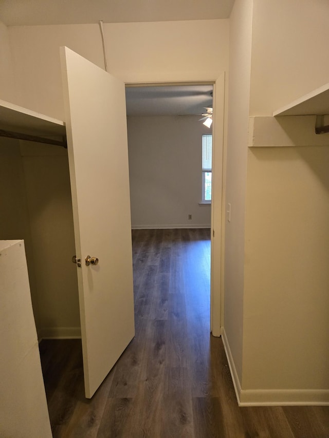 555 N Dupont Ave Unit A17, Madison, TN 37115 - hallway with dark wood finished floors and baseboards