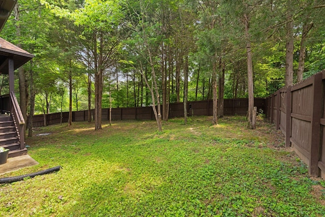 3006 Gracie Ann Dr, Greenbrier, TN 37073 - view of yard with stairs