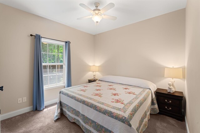 3006 Gracie Ann Dr, Greenbrier, TN 37073 - bedroom featuring carpet floors, baseboards, and a ceiling fan