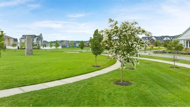 543 Gingerwood Ln, Hendersonville, TN 37075 - photo 46