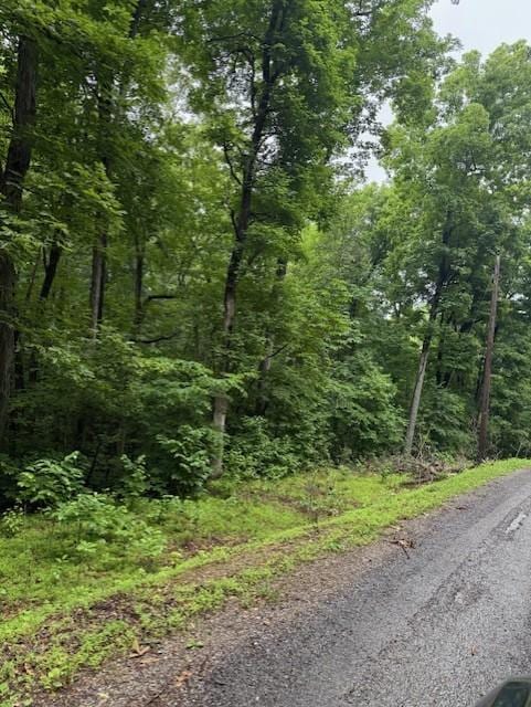 0 Mayapple Dr, Cadiz, KY 42211 - photo 2