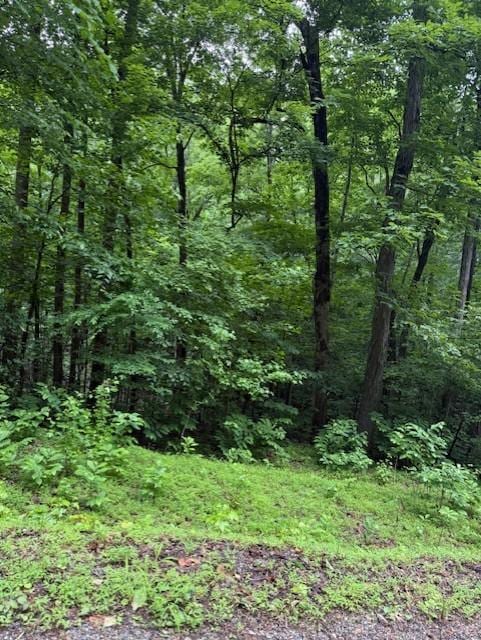 0 Mayapple Dr, Cadiz, KY 42211 - photo 3