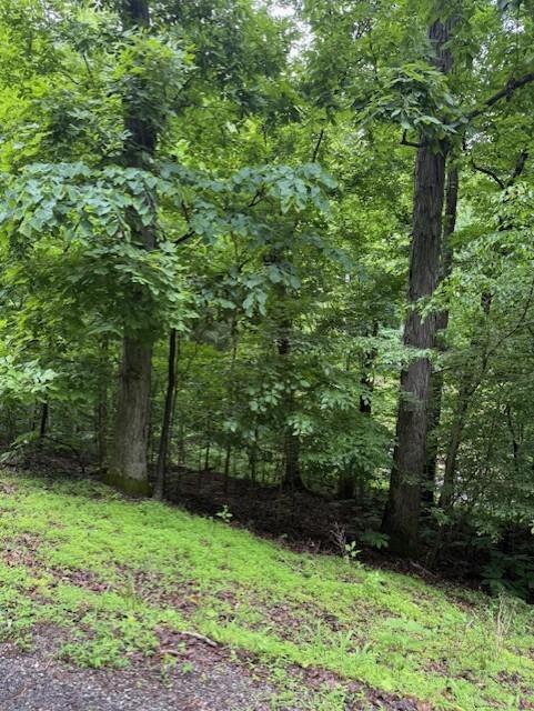 0 Mayapple Dr, Cadiz, KY 42211 - photo 6