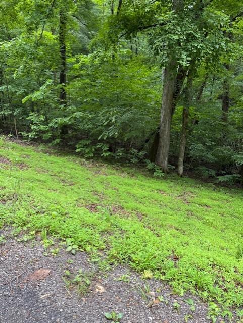 0 Mayapple Dr, Cadiz, KY 42211 - photo 4