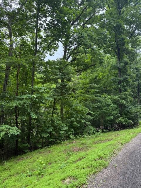 0 Mayapple Dr, Cadiz, KY 42211 - photo 5