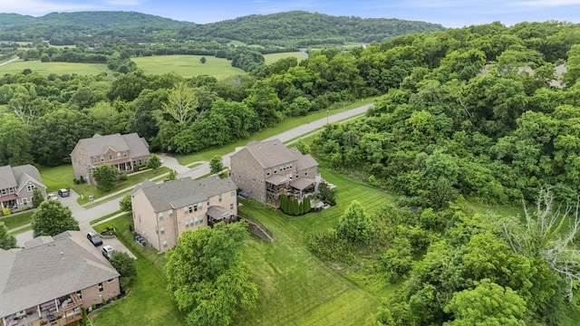6740 Falls Ridge Ln, College Grove, TN 37046 - aerial perspective of suburban area with a mountainous background and a forest