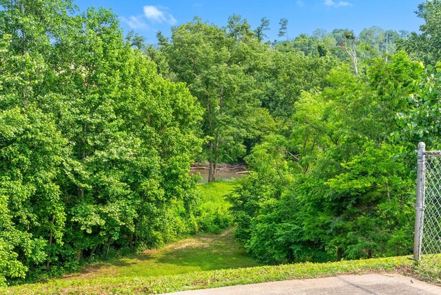 357 Brook Mead Dr, Clarksville, TN 37042 - photo 32