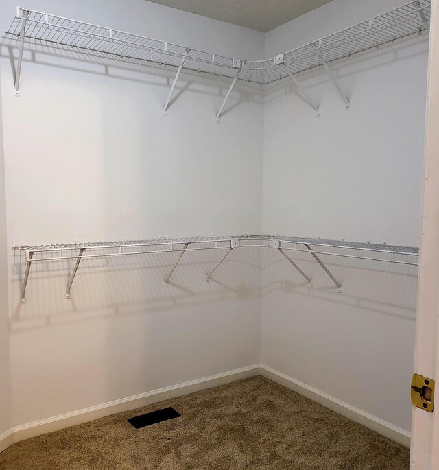 1013 Wigan Dr, Murfreesboro, TN 37130 - photo 23