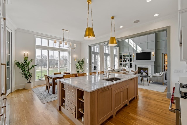 7212 Shagbark Ln, College Grove, TN 37046 - kitchen featuring a sink, ornamental molding, a high end fireplace, light wood-style flooring, and healthy amount of natural light