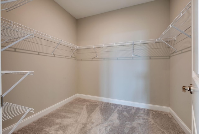 1207 Bridgett Way, Mount Juliet, TN 37122 - spacious closet featuring carpet flooring