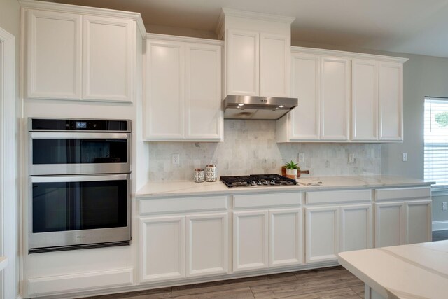 1207 Bridgett Way, Mount Juliet, TN 37122 - kitchen with appliances with stainless steel finishes, under cabinet range hood, white cabinetry, and tasteful backsplash