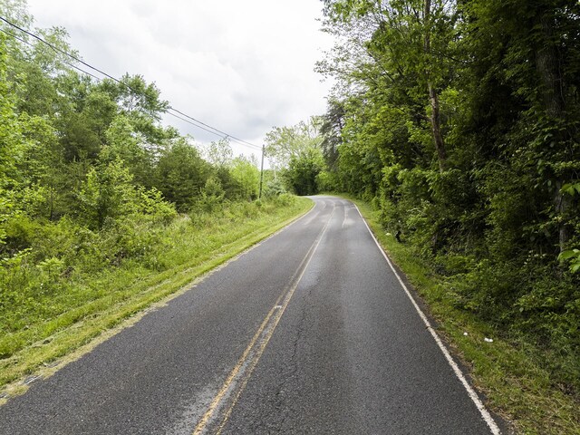 2361 Colony Rd, Gruetli Laager, TN 37339 - photo 7