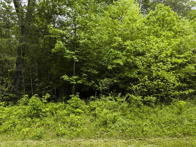 2361 Colony Rd, Gruetli Laager, TN 37339 - photo 5