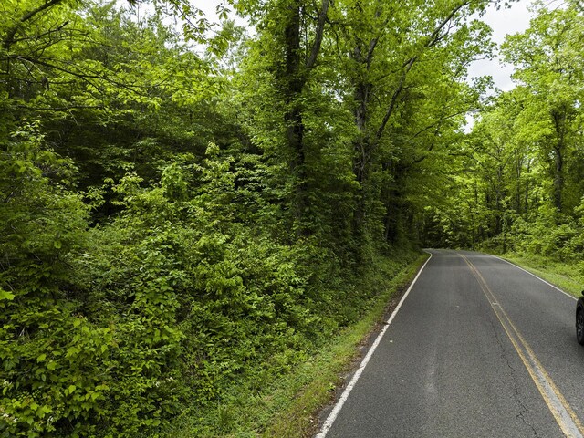 2361 Colony Rd, Gruetli Laager, TN 37339 - photo 6
