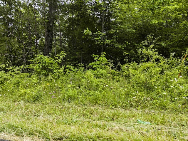 2361 Colony Rd, Gruetli Laager, TN 37339 - photo 8