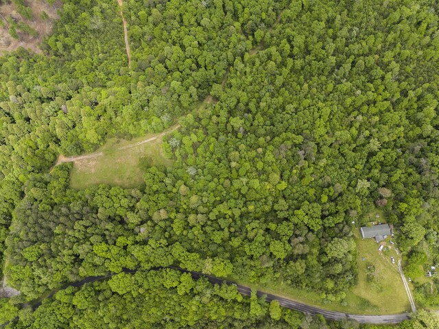 2361 Colony Rd, Gruetli Laager, TN 37339 - photo 4