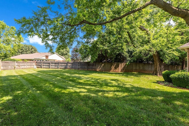 2707 Comer Dr, Murfreesboro, TN 37128 - view of yard