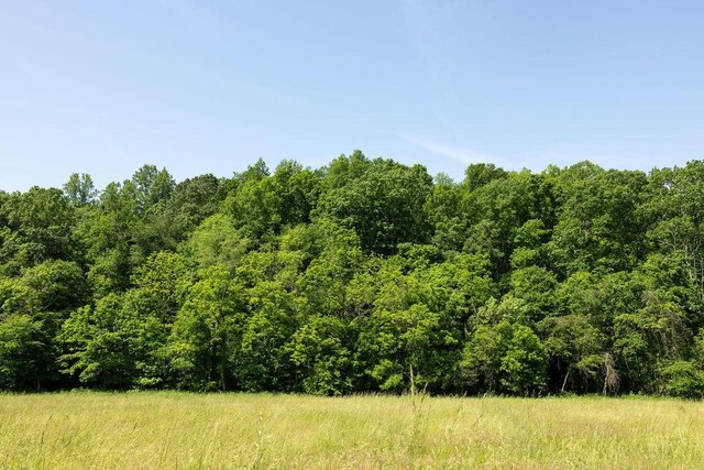5590 Chambers Rd, Cumberland Furnace, TN 37051 - view of tree filled area
